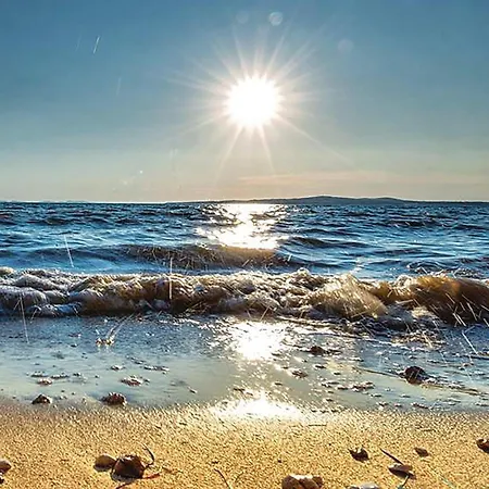 Ferienhaus Pet Friendly In