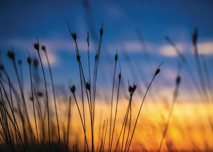 Сasa de vacaciones Pet Friendly In Privlaka (Zadar)