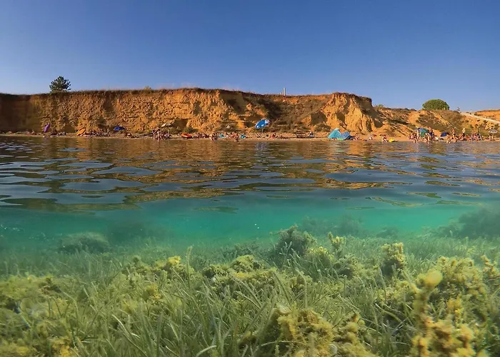 Pet Friendly In Privlaka (Zadar)