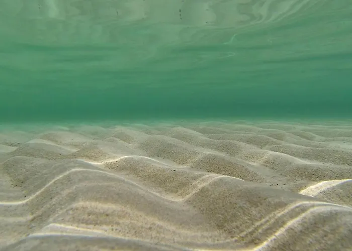 Pet Friendly In * Privlaka (Zadar)