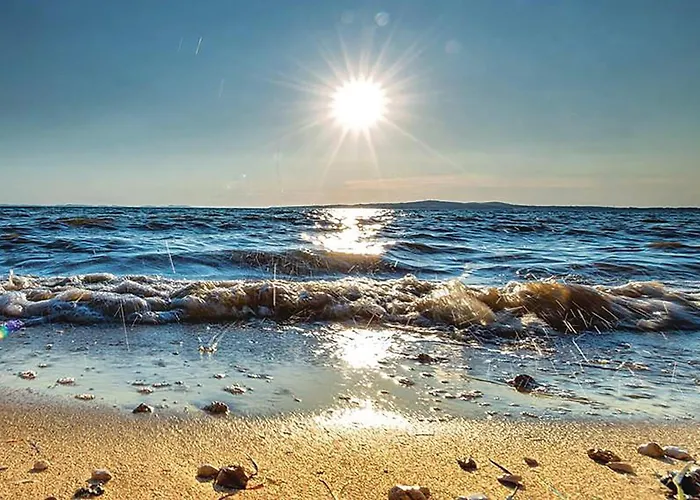 Prázdninový dům Pet Friendly In